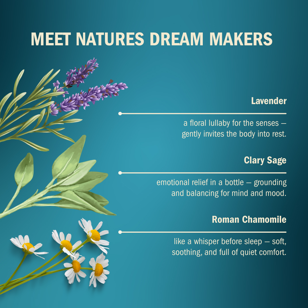 Daily Rituals Essential Oils Aromatherapy Sleep Support Grounding