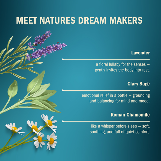 Daily Rituals Essential Oils Aromatherapy Sleep Support Grounding