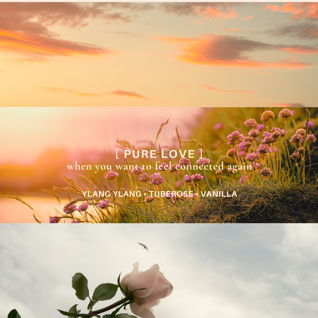 Pure Love | Aromatherapy Roll-On Blend 10ml