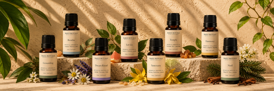Discover the best essential oils for diffusers, from lavender and orange to cedarwood, frankincense and balsam fir. Find the perfect scent for every mood.