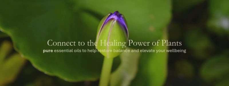 Load video: Essential Oils Daily Rituals Apothecary